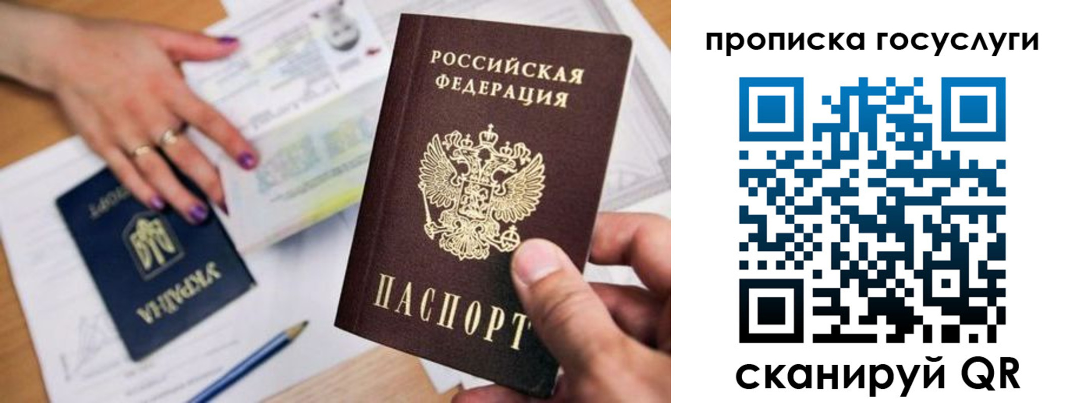 купить прописку в Мытищах